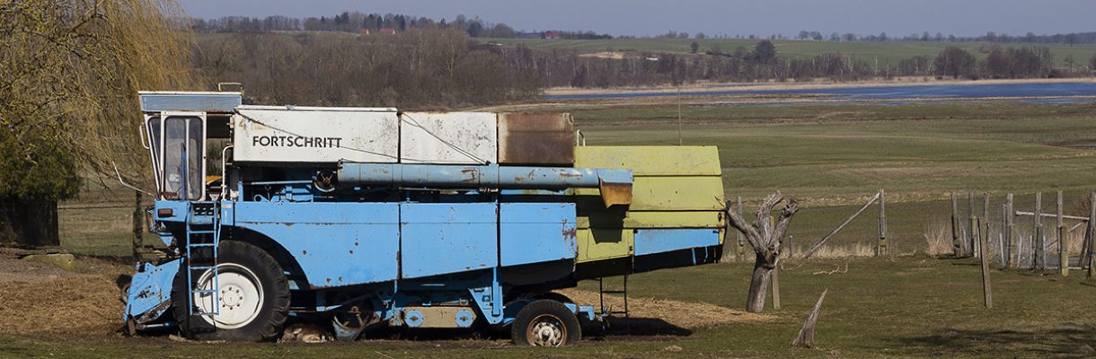 fortschritt-gross fortschritt-gross
